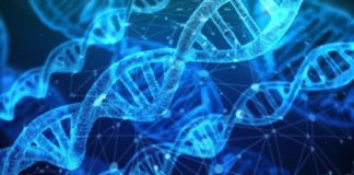 Could Data Files Be Stored as DNA?