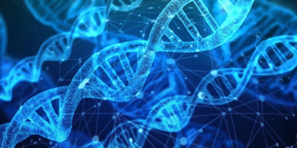 Iridia Closes $6M Funding Round for DNA Memory Chips