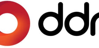 DDN logo.