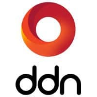 DDN logo.