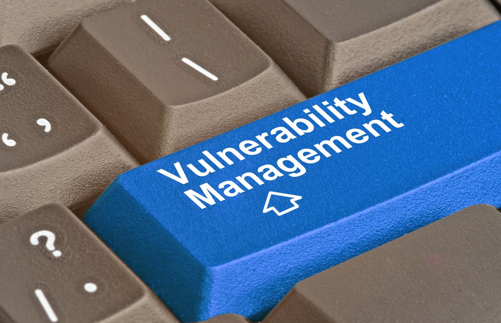 5 Top Vulnerability Management Case Studies